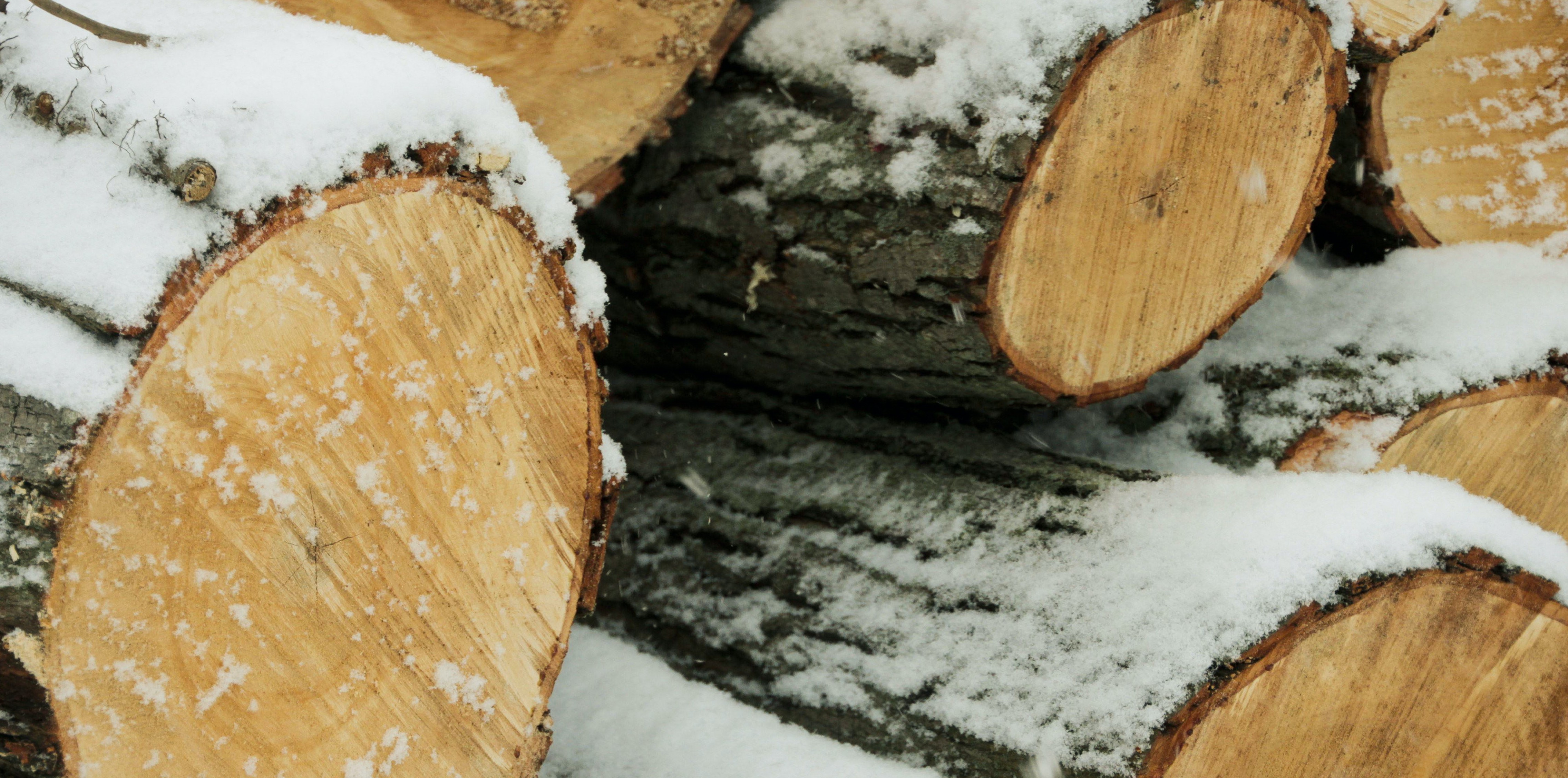 Photo of logs covered in dusting of snow, by Elizabeth Kay on Unsplash